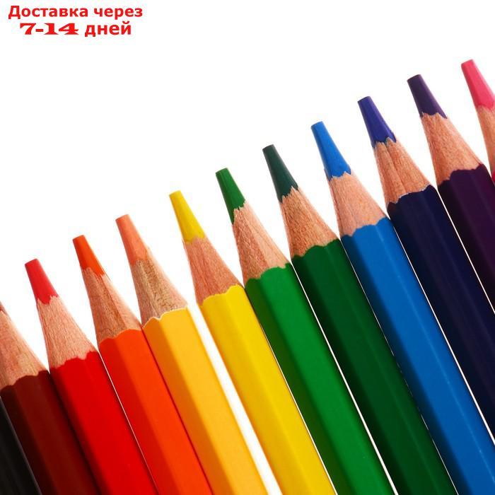 Карандаши акварельные 12 цветов Carioca Acquarell, 3.3 мм, шестигранные матовые, картонная коробка - фото 4 - id-p227049620