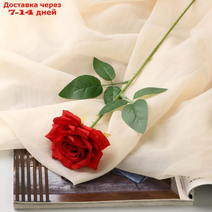 Цветы искусственные "Роза Гран При" 8х56 см, красный - фото 1 - id-p227043242
