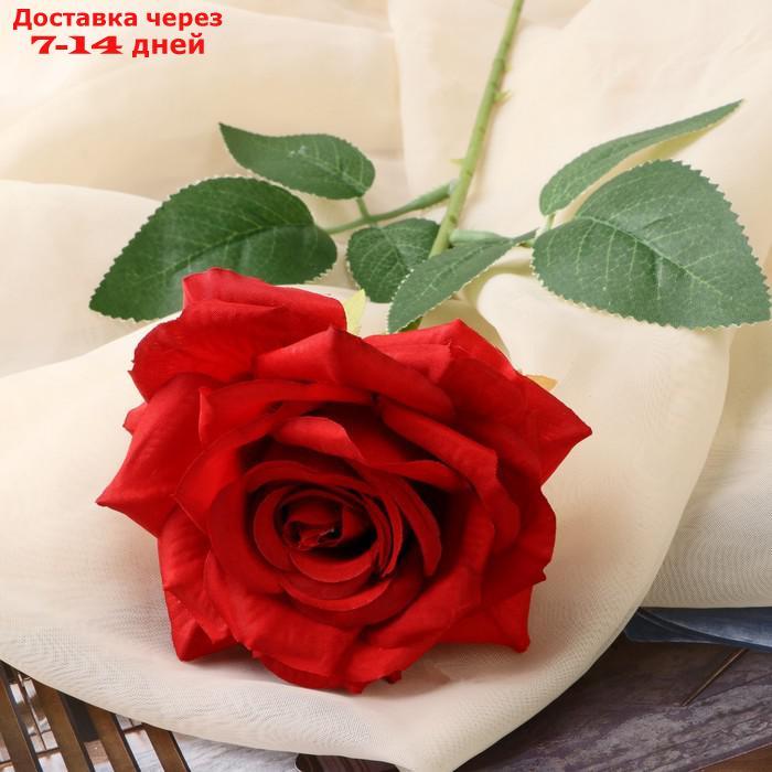 Цветы искусственные "Роза Гран При" 8х56 см, красный - фото 2 - id-p227043242