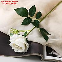 Цветы искусственные "Роза венесуэльская" 8х56 см, белый
