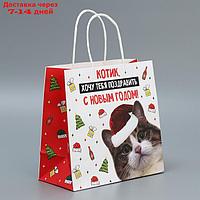 Пакет подарочный крафтовый "Котик", 22 × 22 × 11 см