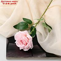 Цветы искусственные "Роза Гран При" 8х56 см, розовый