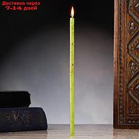 Свеча магическая восковая "Достижение", с гвоздикой, 16х0,6 см, зеленый
