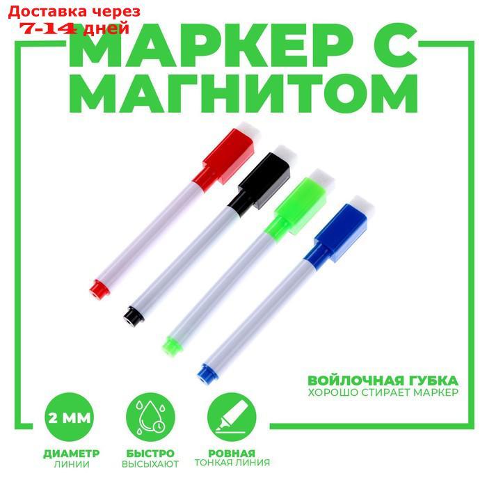 Маркеры цветные с магнитами на водной основе со стиралкой (набор 4 шт + 4 магнита) - фото 2 - id-p227060688