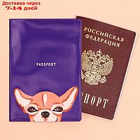 Обложка для паспорта "Чихуахуа", ПВХ
