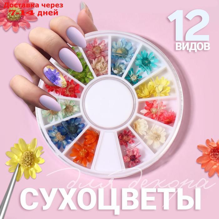 Сухоцветы для маникюра 12 видов карусель разноцв пакет QF - фото 1 - id-p227045546