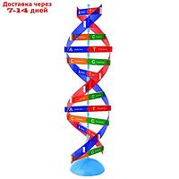 Набор для опытов "Молекула ДНК", в пакете