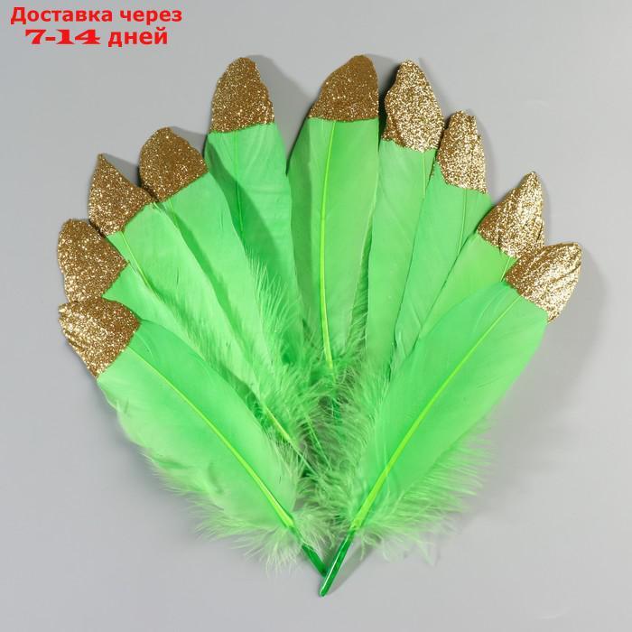 Набор перьев гуся 15-20 см, 10 шт, зелёное яблоко с золотой крошкой - фото 2 - id-p227051864