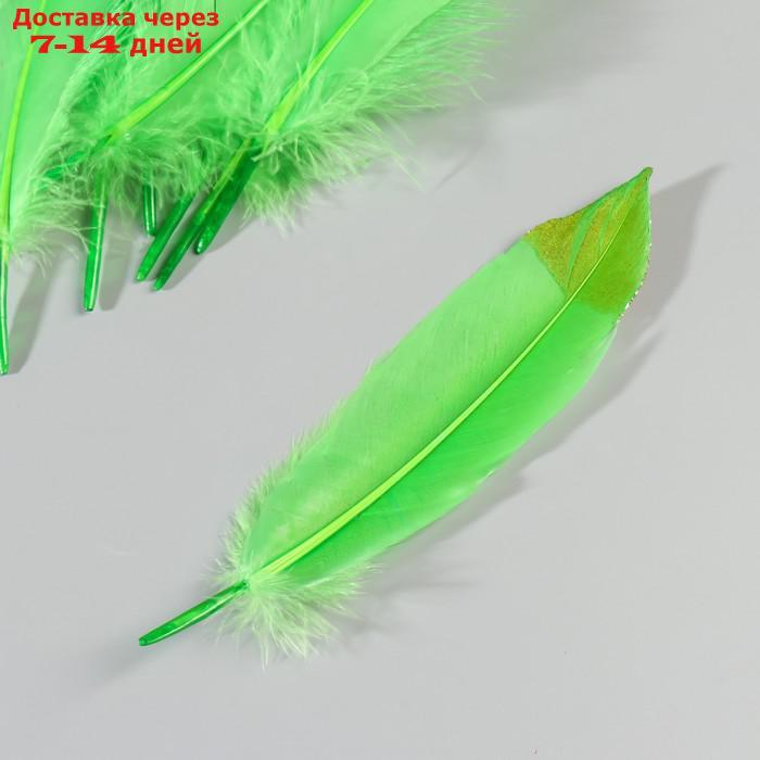 Набор перьев гуся 15-20 см, 10 шт, зелёное яблоко с золотой крошкой - фото 4 - id-p227051864
