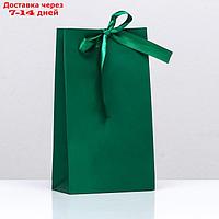 Пакет подарочный с лентой "Зелёный" 13 х 23 х 7 см