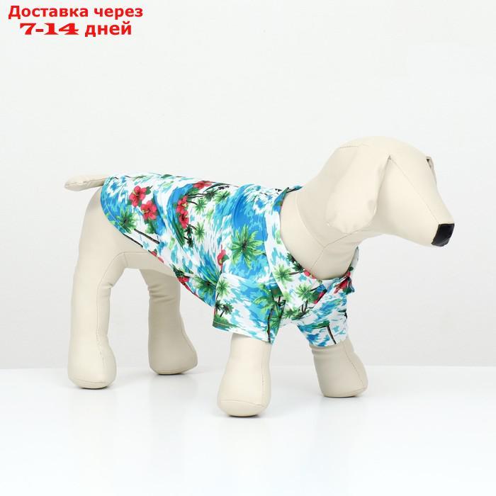 Рубашка для собак "Тропики", ХL (ДС 34, ОГ 44, ОШ 31 см), голубая - фото 1 - id-p227051915