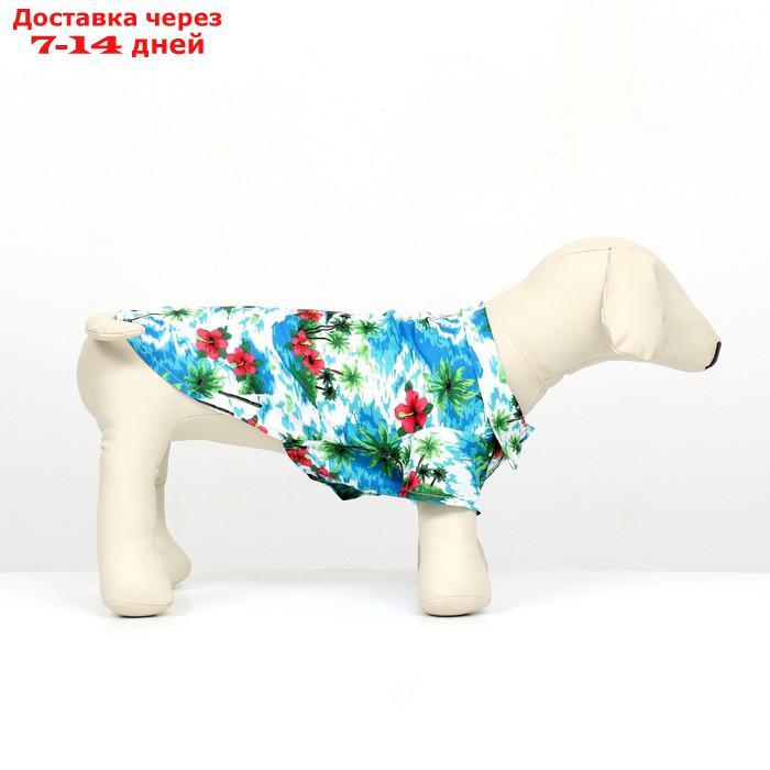 Рубашка для собак "Тропики", ХL (ДС 34, ОГ 44, ОШ 31 см), голубая - фото 2 - id-p227051915