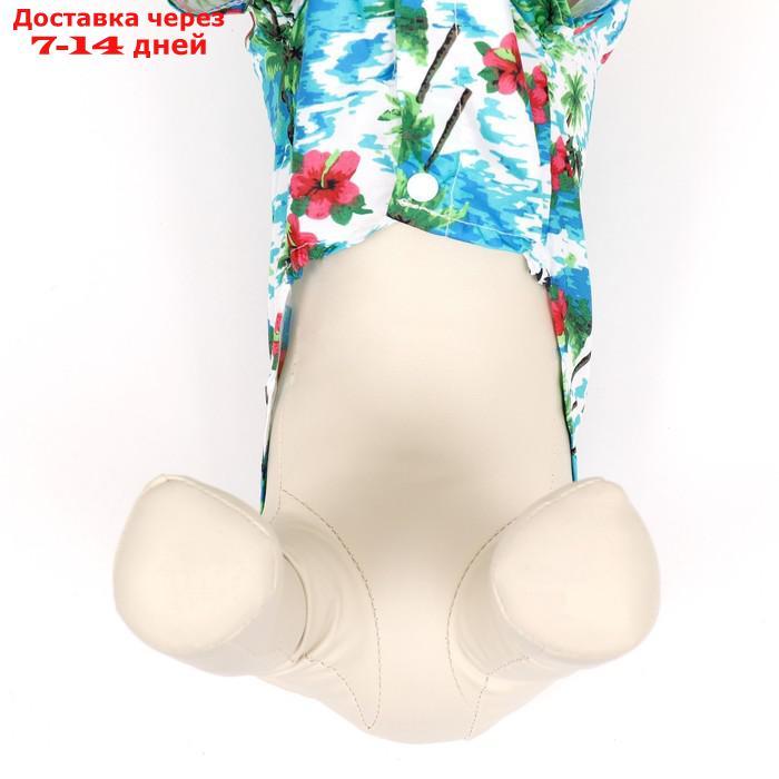 Рубашка для собак "Тропики", ХL (ДС 34, ОГ 44, ОШ 31 см), голубая - фото 5 - id-p227051915