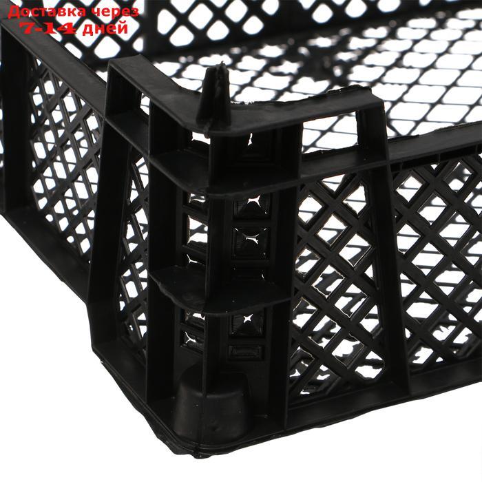Ящик универсальный, пластиковый, 40 × 30 × 13 см, чёрный - фото 3 - id-p227042120