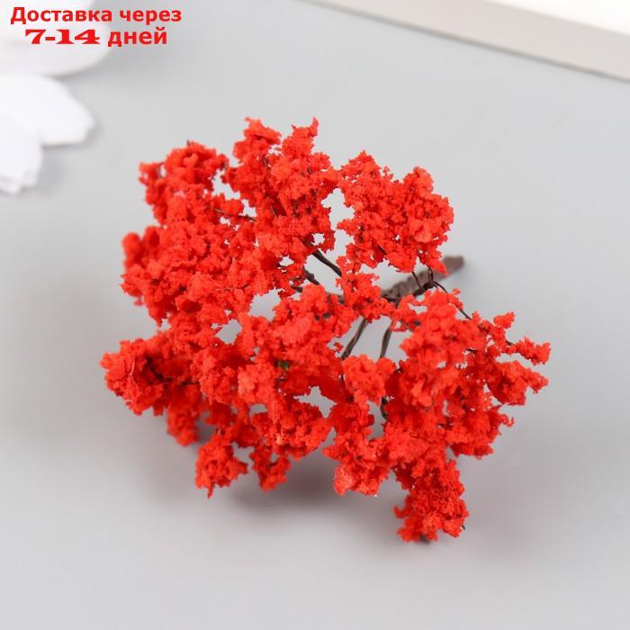 Искусственное растение для творчества пластик "Красный клён" 6х7,3 см - фото 2 - id-p227050270