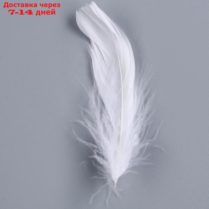 Набор для творчества и декора перья белые + наполнитель, цвет красный - фото 3 - id-p227073920