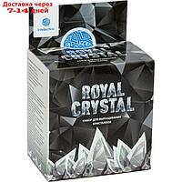 Научно-познавательный набор для выращивания кристаллов "Royal Crystal", серебристый