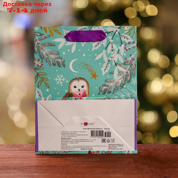 Пакет подарочный "Зимняя совушка", люкс 18 х 22,3 х 10 см - фото 2 - id-p227061239