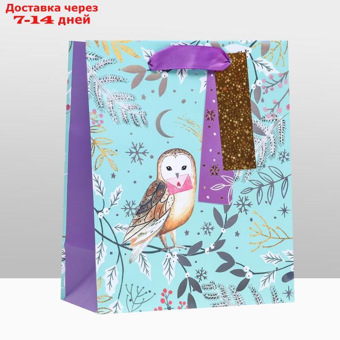 Пакет подарочный "Зимняя совушка", люкс 18 х 22,3 х 10 см - фото 3 - id-p227061239