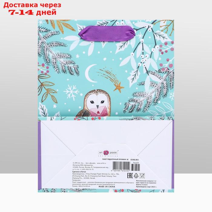 Пакет подарочный "Зимняя совушка", люкс 18 х 22,3 х 10 см - фото 4 - id-p227061239
