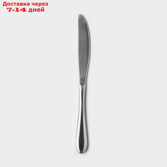 Нож столовый из нержавеющей стали, h=23, цвет серебряный - фото 1 - id-p227073037