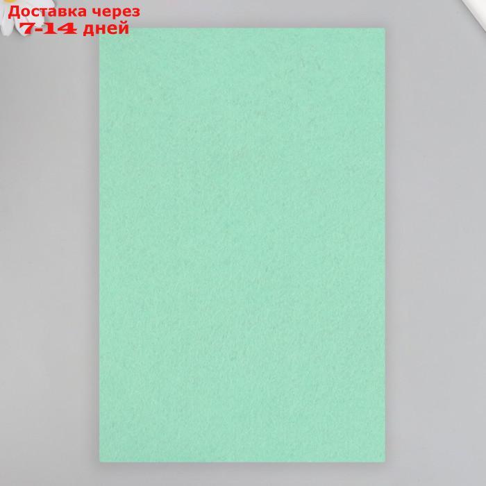 Фетр "Светло-зеленый" 1 мм (набор 10 листов) формат А4 - фото 4 - id-p227053907