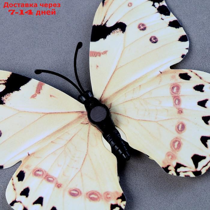 Украшение для торта "Бабочки", набор 12 шт, цвет белый с черными вставками - фото 4 - id-p227054014