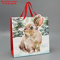 Пакет подарочный "Зайчик", 30 × 30 × 15 см