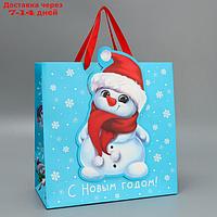 Пакет подарочный "Снеговик", 30 × 30 × 15 см