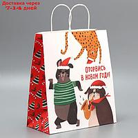 Пакет подарочный крафтовый "Оторвемся", 28 × 32 × 15 см