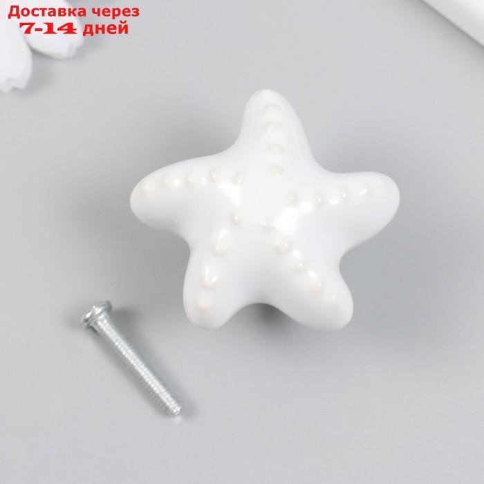 Ручка для шкатулки керамика, металл "Моская звезда" белая 4,6х4,6х3,3 см - фото 1 - id-p227063420
