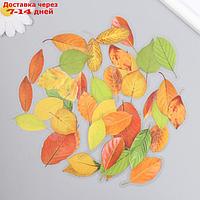 Наклейки для творчества пластик "Осенние листья" набор 40 шт 0,3х8х14,8 см