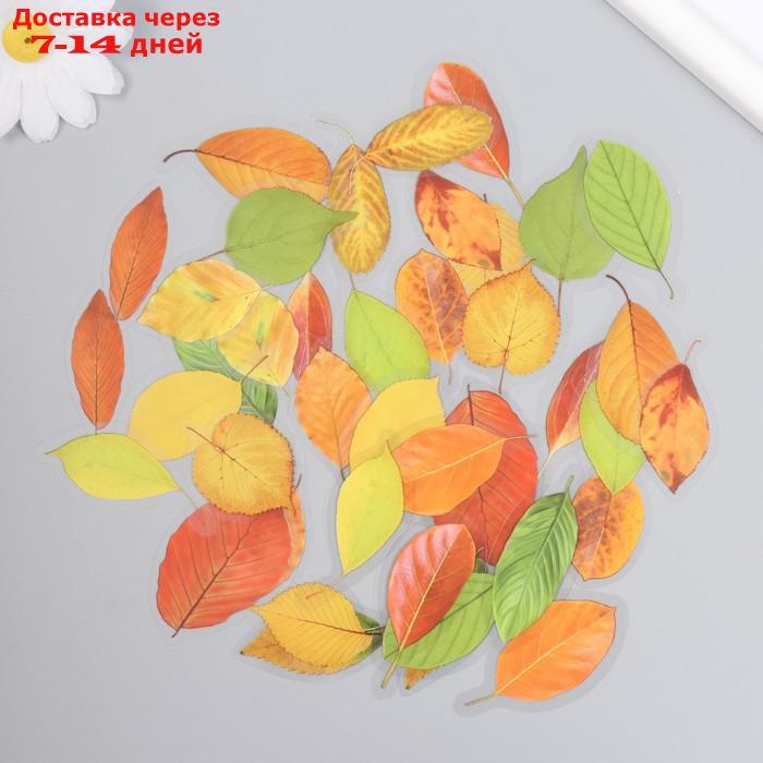 Наклейки для творчества пластик "Осенние листья" набор 40 шт 0,3х8х14,8 см - фото 1 - id-p227063426