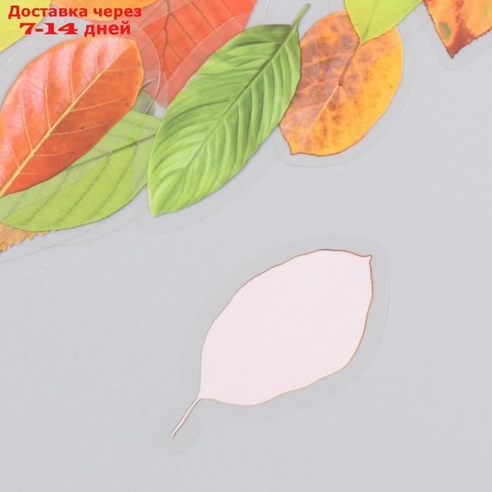 Наклейки для творчества пластик "Осенние листья" набор 40 шт 0,3х8х14,8 см - фото 3 - id-p227063426