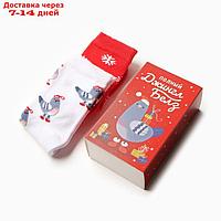 Набор женских носков KAFTAN "Джингл белз" р. 36-40 (23-25 см), 2 пары