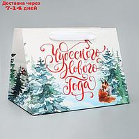 Пакет подарочный с широким дном "Новогодние чудеса", 25 × 19 × 18 см