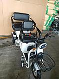 Электрический трицикл SHTENLI Model XL (40) SLA  20Ач60В (аккумулятор 5шт 20Ач12В), фото 6