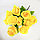 Букет ритуальный Роза Молли цвет ассорти, фото 4