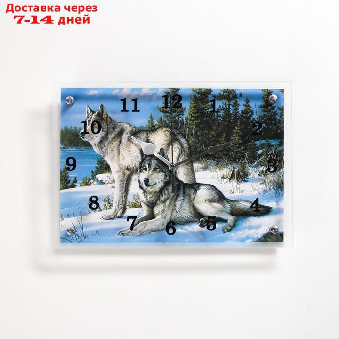 Часы настенные прямоугольные "Волки в Зимнем Лесу", 25х35 см - фото 1 - id-p226963455