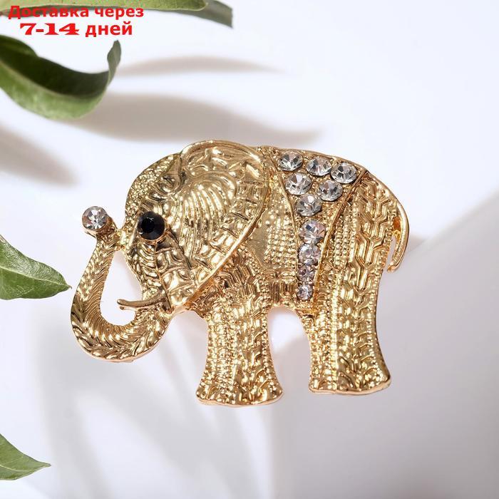Брошь "Слон индийский", цвет белый в золоте - фото 1 - id-p226938688