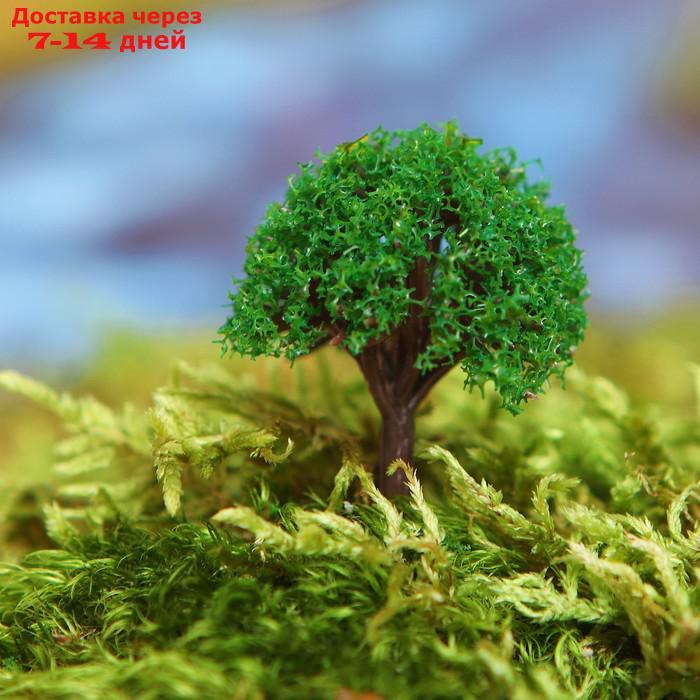 Миниатюра кукольная, набор 4 шт "Дерево" размер 1 шт: 2×2×3,5 см, цвет зелёный - фото 1 - id-p226948034