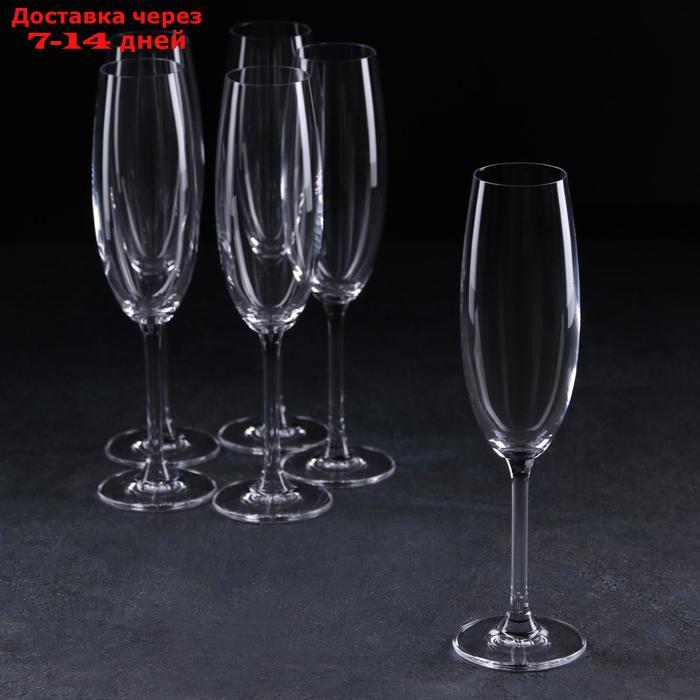 Набор бокалов для шампанского Colibri, 220 мл, 6 шт - фото 1 - id-p227019011