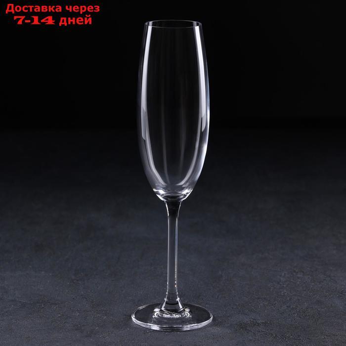 Набор бокалов для шампанского Colibri, 220 мл, 6 шт - фото 2 - id-p227019011