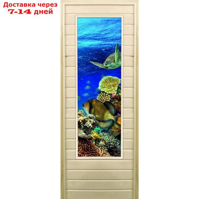 Дверь для бани со стеклом (43*129), "Морской мир", 180×70см, коробка из осины - фото 1 - id-p227095529