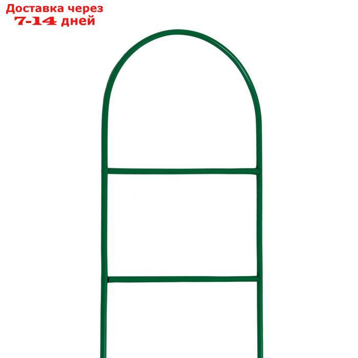 Шпалера, 140 × 30 × 1 см, металл, зелёная, "Лестница" - фото 2 - id-p227095539