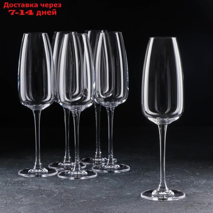 Набор бокалов для шампанского Anser, 290 мл, 6 шт - фото 1 - id-p227100539