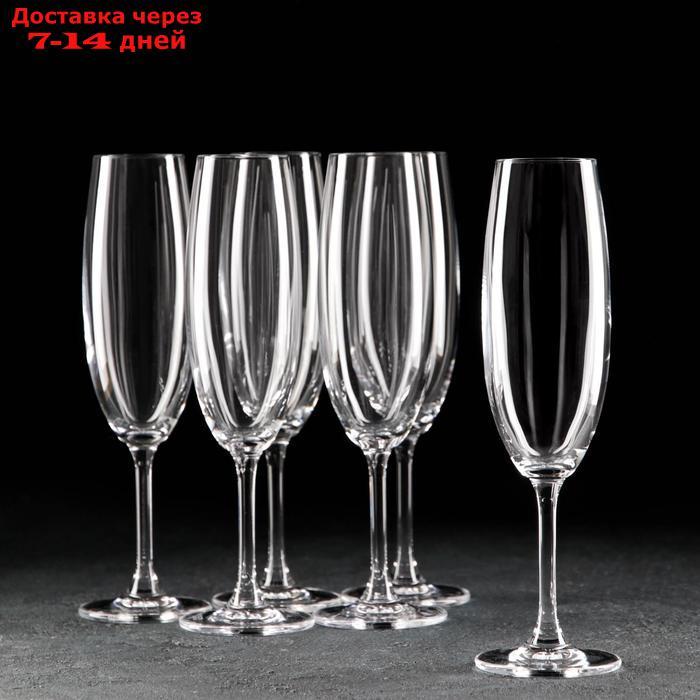 Набор бокалов для шампанского Sylvia, 220 мл, 6 шт - фото 1 - id-p227100546