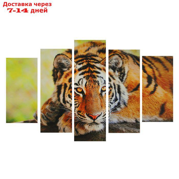 Картина модульная на подрамнике "Таинственность тигра" 2-25*52,2-25*66,1-25*8, 80*140 см - фото 1 - id-p226963782
