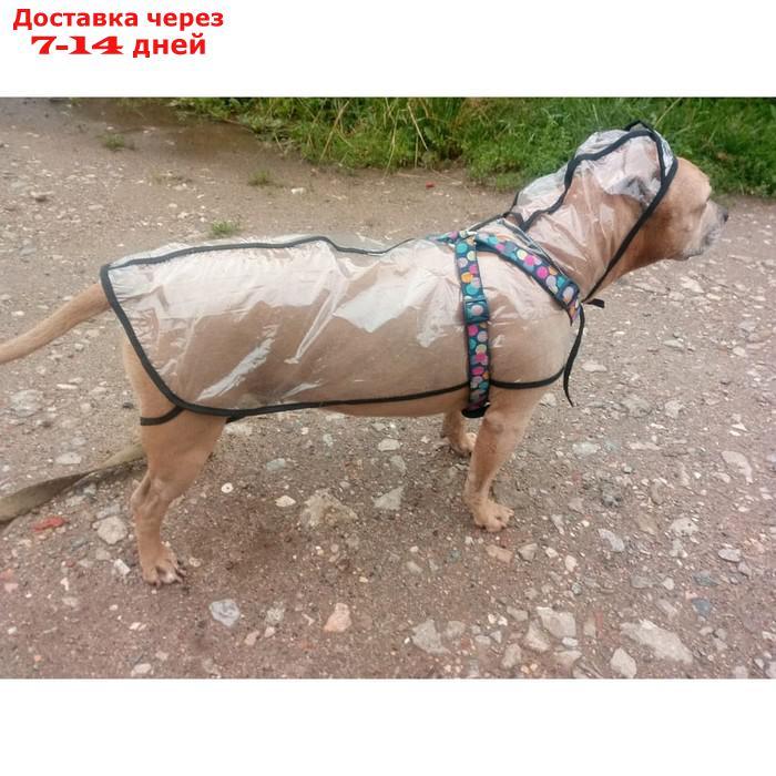 Дождевик с капюшоном для собак OSSO, р. 60 (ДС 60 см), прозрачный, окантовка микс цветов - фото 3 - id-p227104317