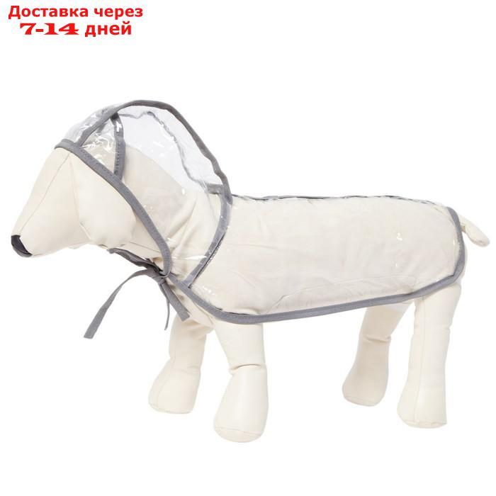 Дождевик с капюшоном для собак OSSO, р. 65 (ДС 65 см), прозрачный, окантовка микс цветов - фото 1 - id-p227104318